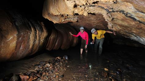  Le Gua Tempurung: Une Exploration Géologique Éblouissante dans la Jungle Malaysienne!