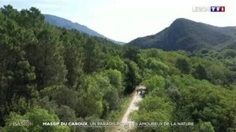  Le Jardin Botanique de Guanajuato: Un paradis vert pour les amoureux de la nature !