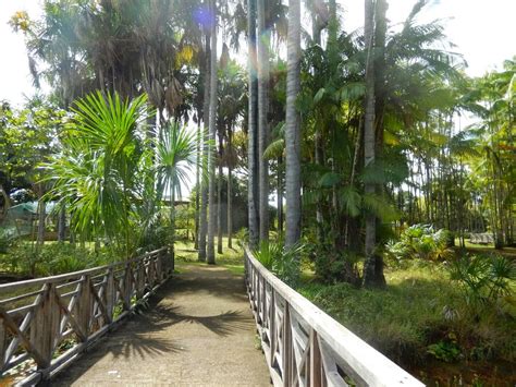 Le Jardin Botanique de Yacul: Une Oasis Verdoyante et un Refuge pour la Faune Locale!